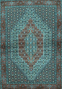 Persian Light Blue Traditional Rug, tr2431lblu