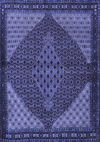 Persian Blue Traditional Rug, tr2432blu