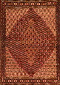 Persian Orange Traditional Rug, tr2432org