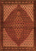 Persian Orange Traditional Rug, tr2432org