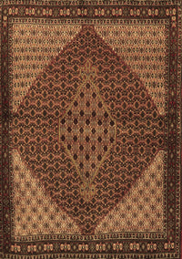 Persian Brown Traditional Rug, tr2432brn