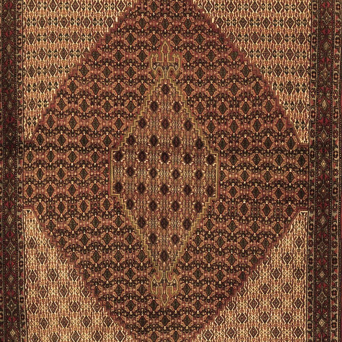 Persian Brown Traditional Rug, tr2432brn