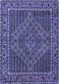 Persian Blue Traditional Rug, tr2433blu