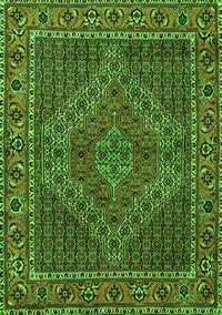 Persian Green Traditional Rug, tr2433grn