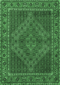 Persian Emerald Green Traditional Rug, tr2433emgrn