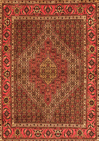 Persian Orange Traditional Rug, tr2433org