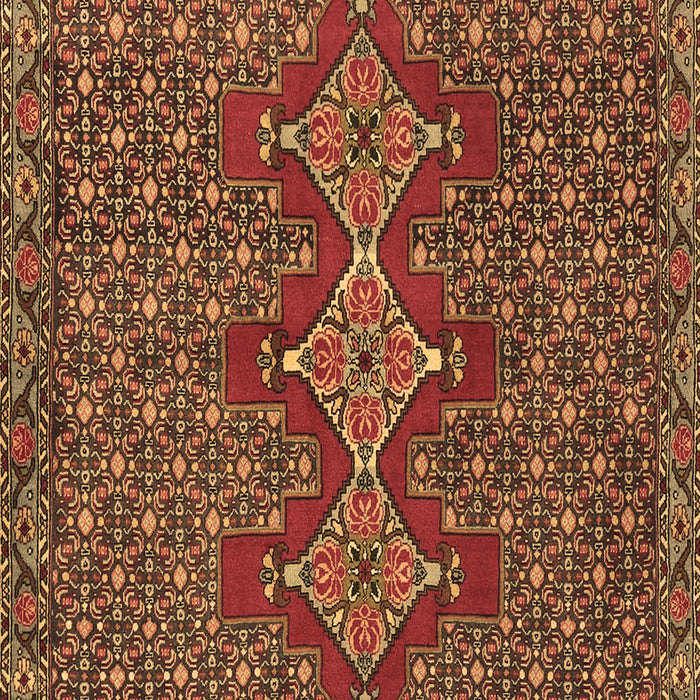 Machine Washable Persian Brown Traditional Rug, wshtr2434brn