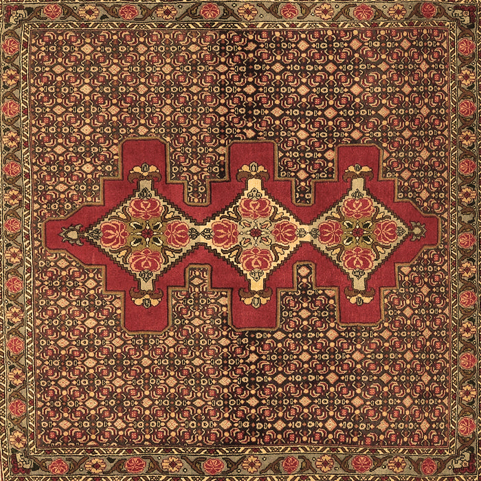 Square Persian Brown Traditional Rug, tr2435brn
