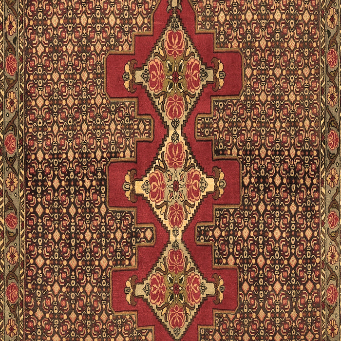 Machine Washable Persian Brown Traditional Rug, wshtr2435brn