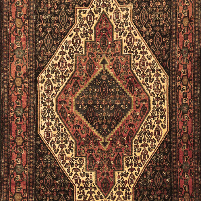 Machine Washable Medallion Brown Traditional Rug, wshtr2436brn