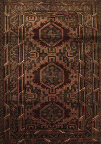 Persian Brown Traditional Rug, tr2439brn
