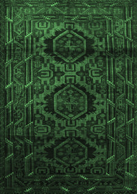 Persian Emerald Green Traditional Rug, tr2439emgrn