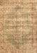 Persian Brown Traditional Rug, tr2445brn