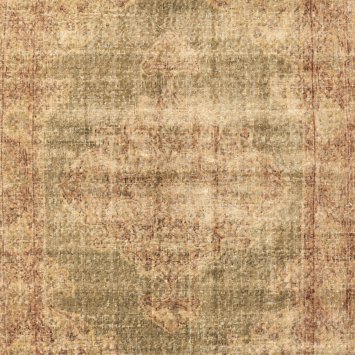 Persian Brown Traditional Rug, tr2445brn