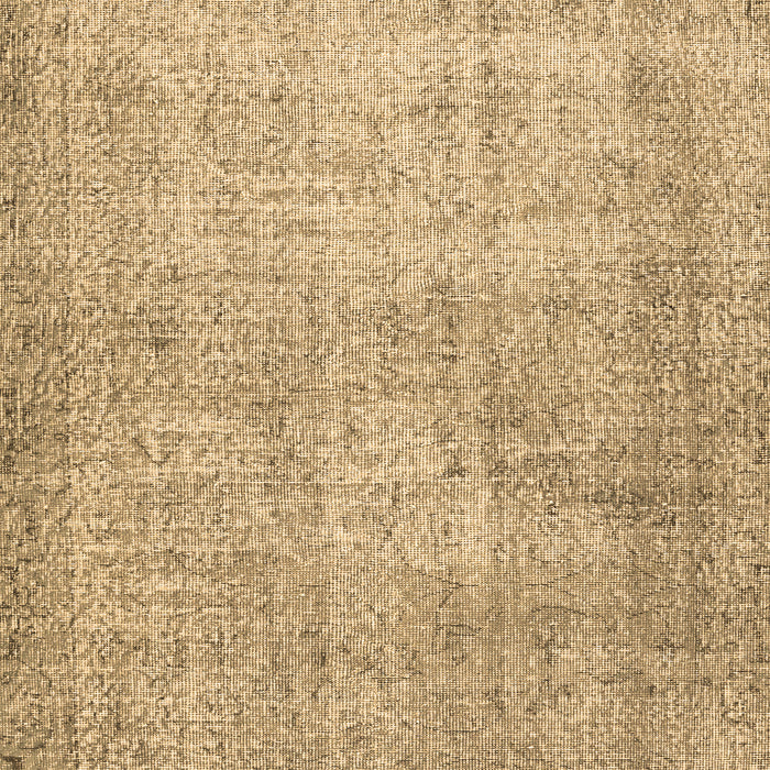 Persian Brown Traditional Rug, tr2446brn