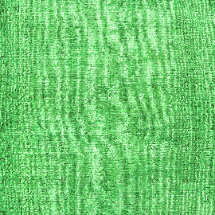 Persian Green Traditional Rug, tr2446grn