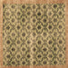 Square Machine Washable Persian Brown Traditional Rug, wshtr2447brn