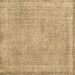 Square Machine Washable Persian Brown Traditional Rug, wshtr2448brn