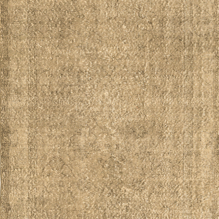 Persian Brown Traditional Rug, tr2448brn