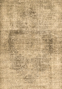 Persian Brown Traditional Rug, tr2449brn