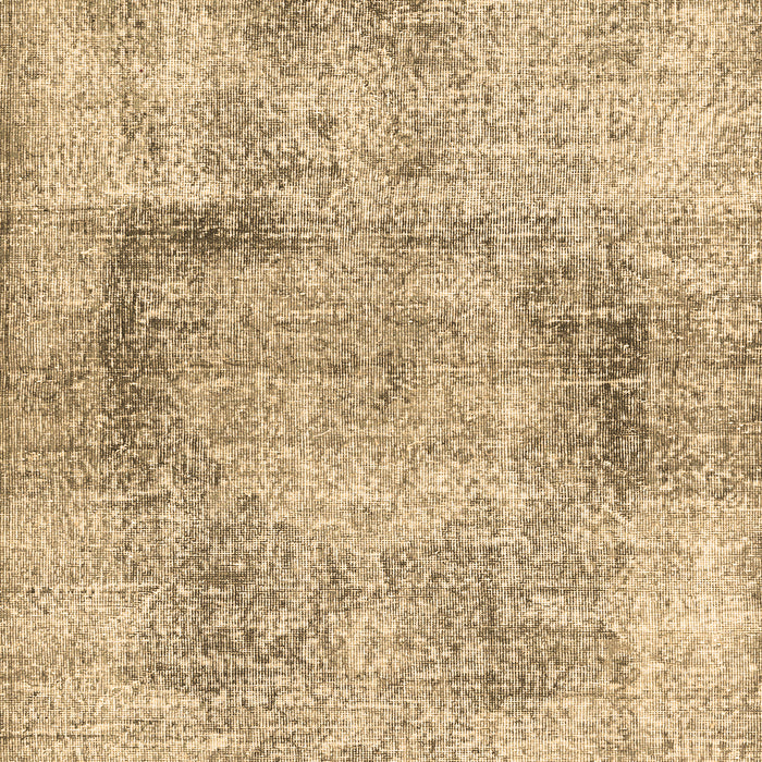 Machine Washable Persian Brown Traditional Rug, wshtr2449brn
