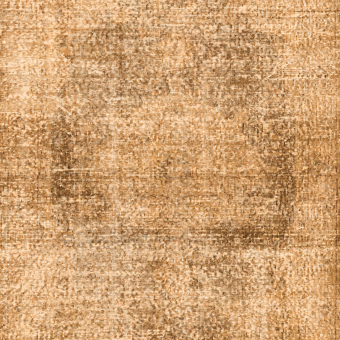 Persian Orange Traditional Rug, tr2449org