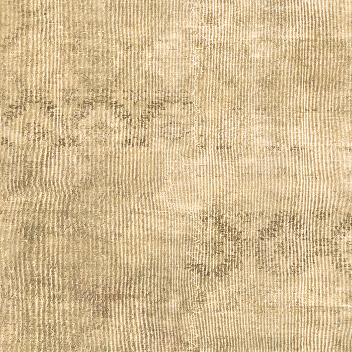 Persian Brown Traditional Rug, tr2450brn
