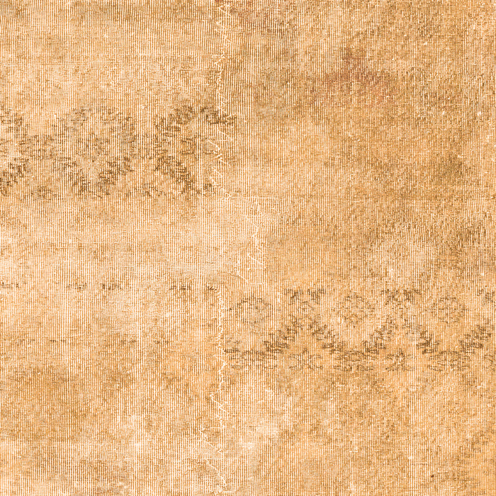 Persian Orange Traditional Rug, tr2450org