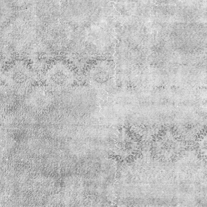 Serging Thickness of Machine Washable Persian Gray Traditional Rug, wshtr2450gry