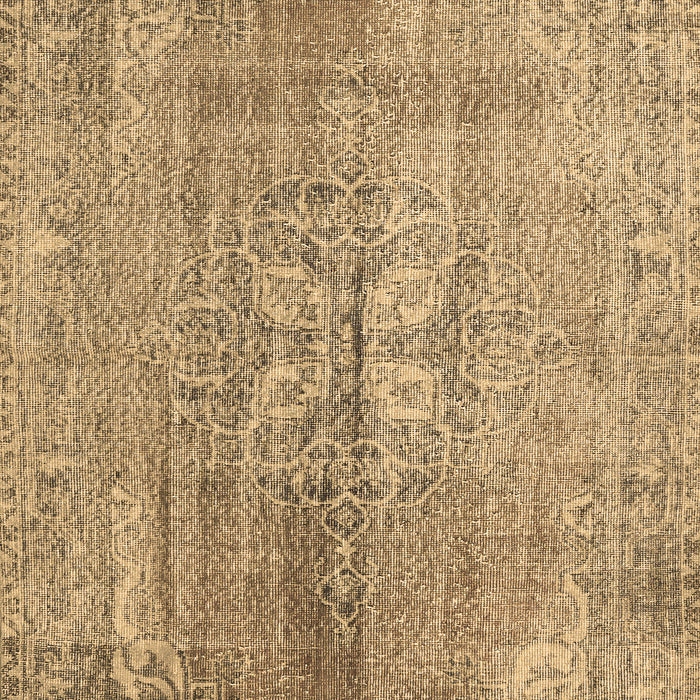 Persian Brown Traditional Rug, tr2451brn