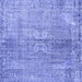 Square Persian Blue Traditional Rug, tr2451blu