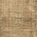 Square Persian Brown Traditional Rug, tr2451brn