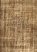 Machine Washable Persian Brown Traditional Rug, wshtr2452brn