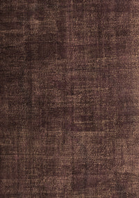 Persian Brown Traditional Rug, tr2456brn