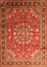 Medallion Orange Traditional Rug, tr245org