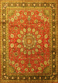 Medallion Yellow Traditional Rug, tr245yw