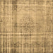 Square Persian Brown Traditional Rug, tr2463brn