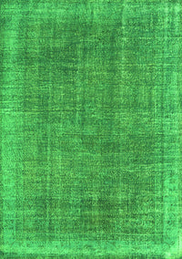 Persian Green Traditional Rug, tr2464grn