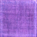 Square Persian Purple Traditional Rug, tr2464pur