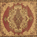 Square Machine Washable Persian Brown Traditional Rug, wshtr2465brn