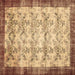 Square Machine Washable Persian Brown Traditional Rug, wshtr2466brn