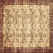 Square Persian Brown Traditional Rug, tr2466brn