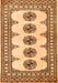 Serging Thickness of Machine Washable Persian Orange Traditional Area Rugs, wshtr246org