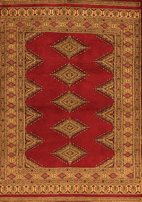 Persian Orange Traditional Rug, tr2472org