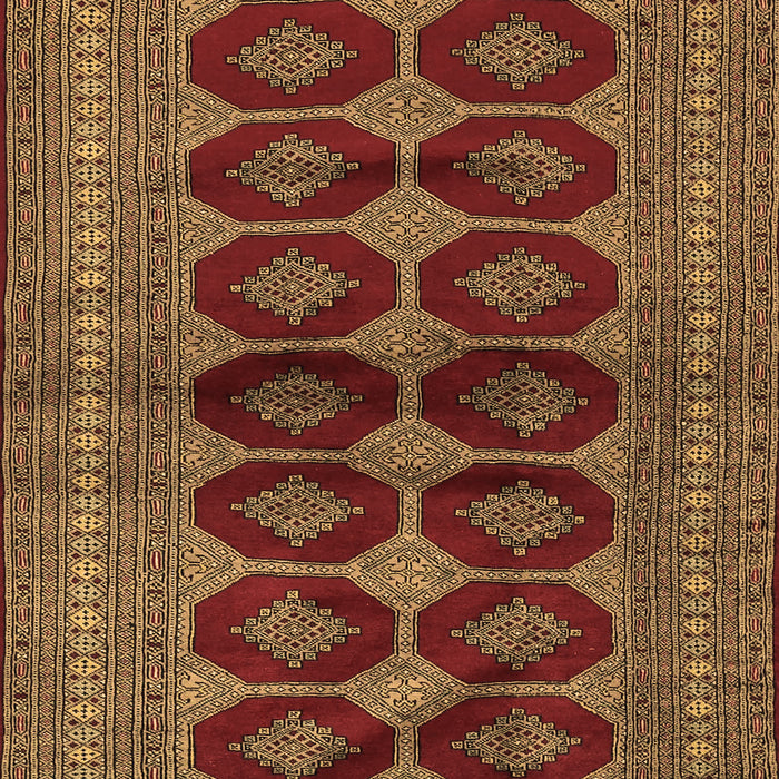 Machine Washable Persian Brown Traditional Rug, wshtr2473brn
