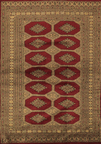 Persian Brown Traditional Rug, tr2473brn