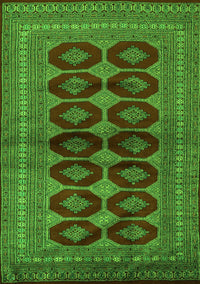 Persian Green Traditional Rug, tr2473grn