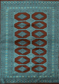 Persian Light Blue Traditional Rug, tr2473lblu