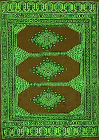 Persian Green Traditional Rug, tr2474grn