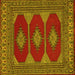 Square Persian Yellow Traditional Rug, tr2474yw